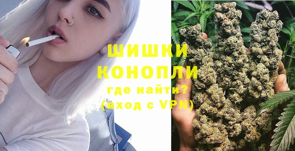 молекула духа Бугульма