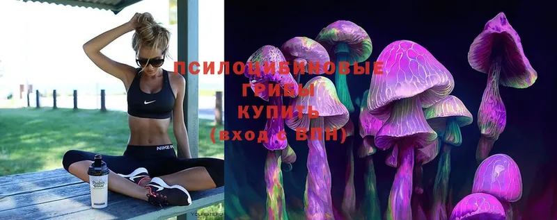 Галлюциногенные грибы Magic Shrooms  Полтавская 